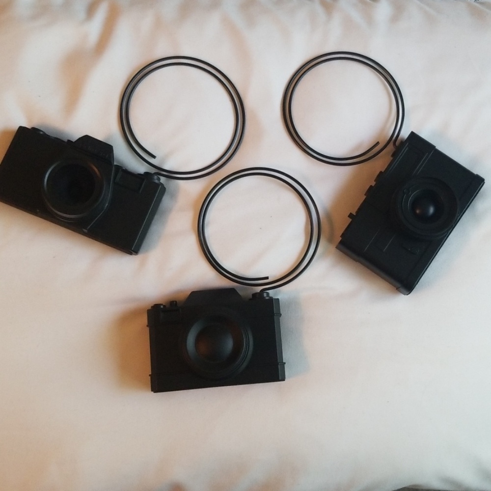 Camera picture holders